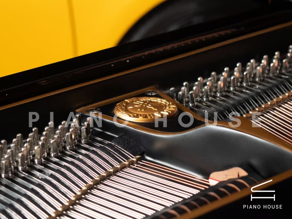 Yamaha G2 Black & Gold Polyester