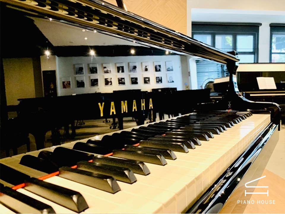 YAMAHA C3 Silent