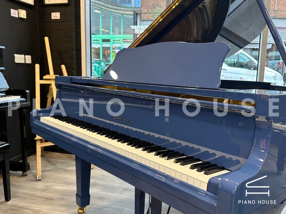 YAMAHA G2 Blue Custom