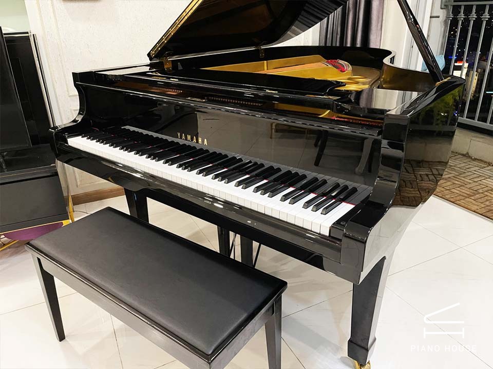 YAMAHA G5E 3 (Pedal)