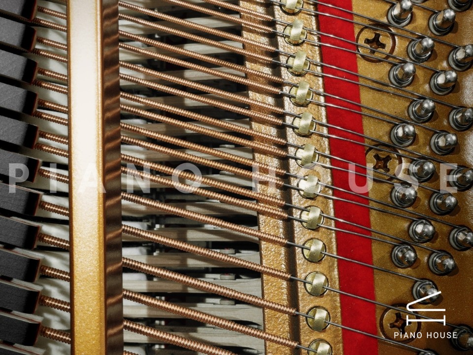 YAMAHA GB1KG (Georgian)