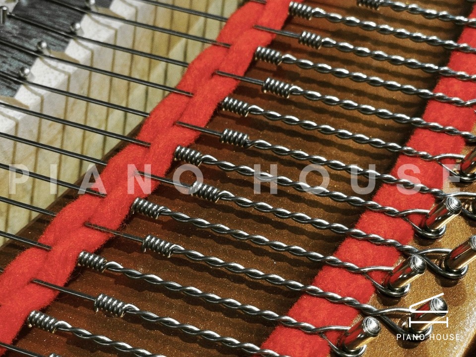 YAMAHA GB1KG (Georgian)