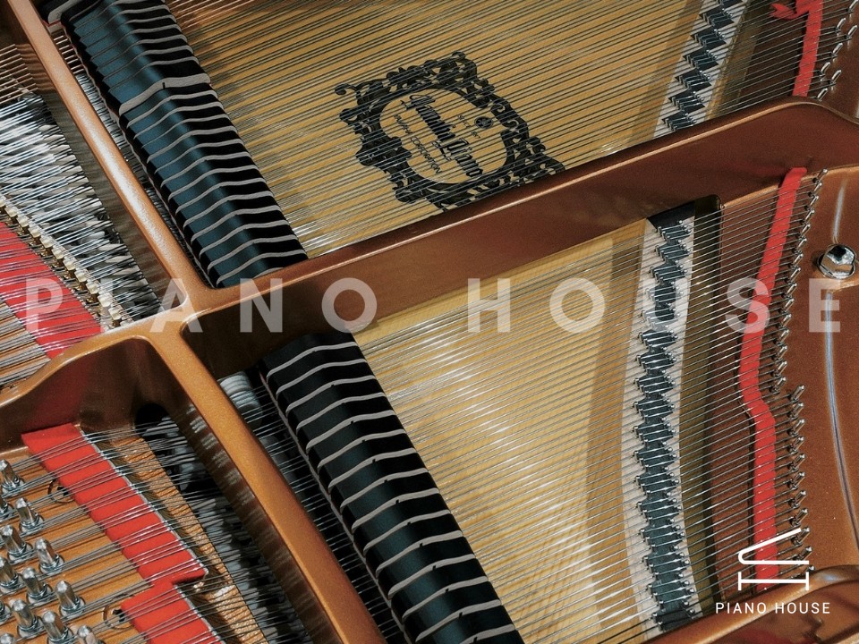 YAMAHA GB1KG (Georgian)