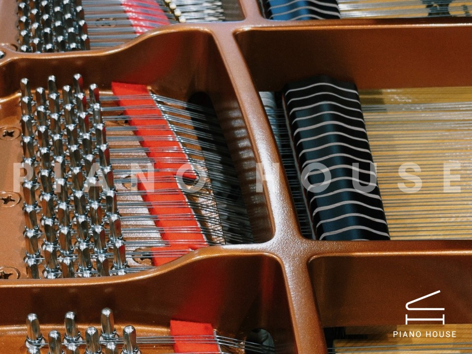 YAMAHA GB1KG (Georgian)