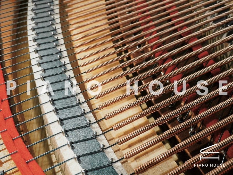 YAMAHA GB1KG (Georgian)