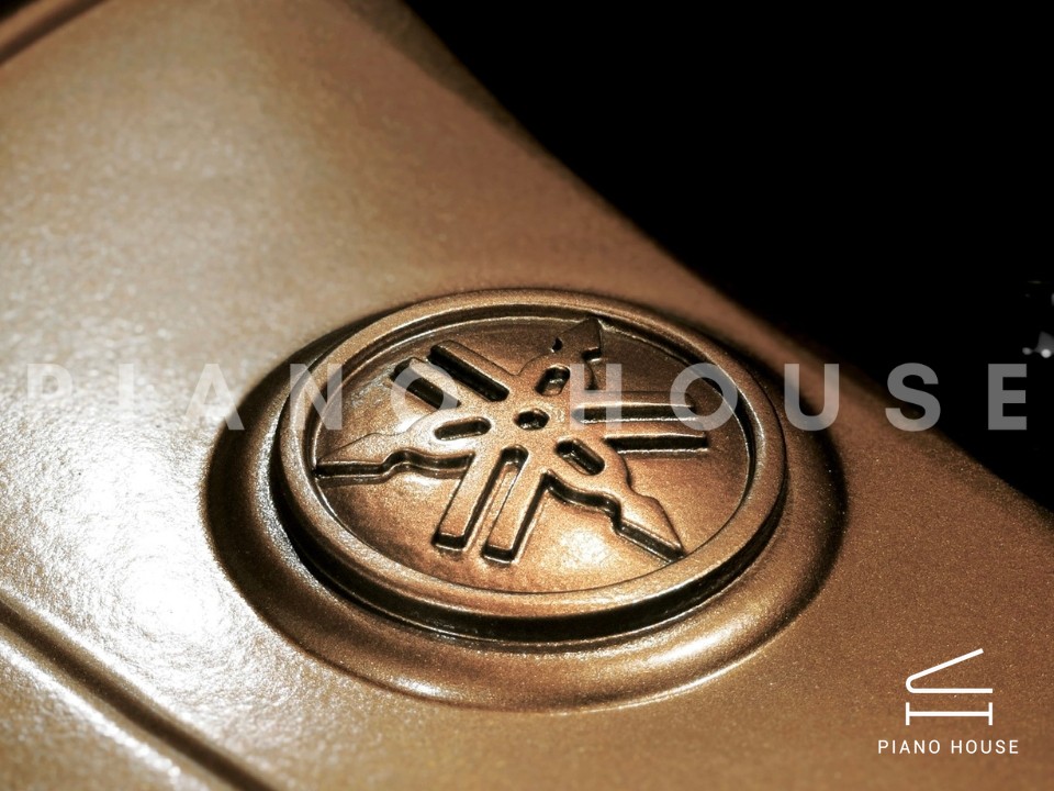 YAMAHA GB1KG (Georgian)