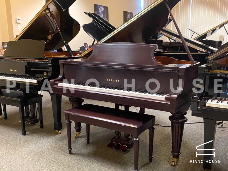 YAMAHA GB1KG (Georgian)