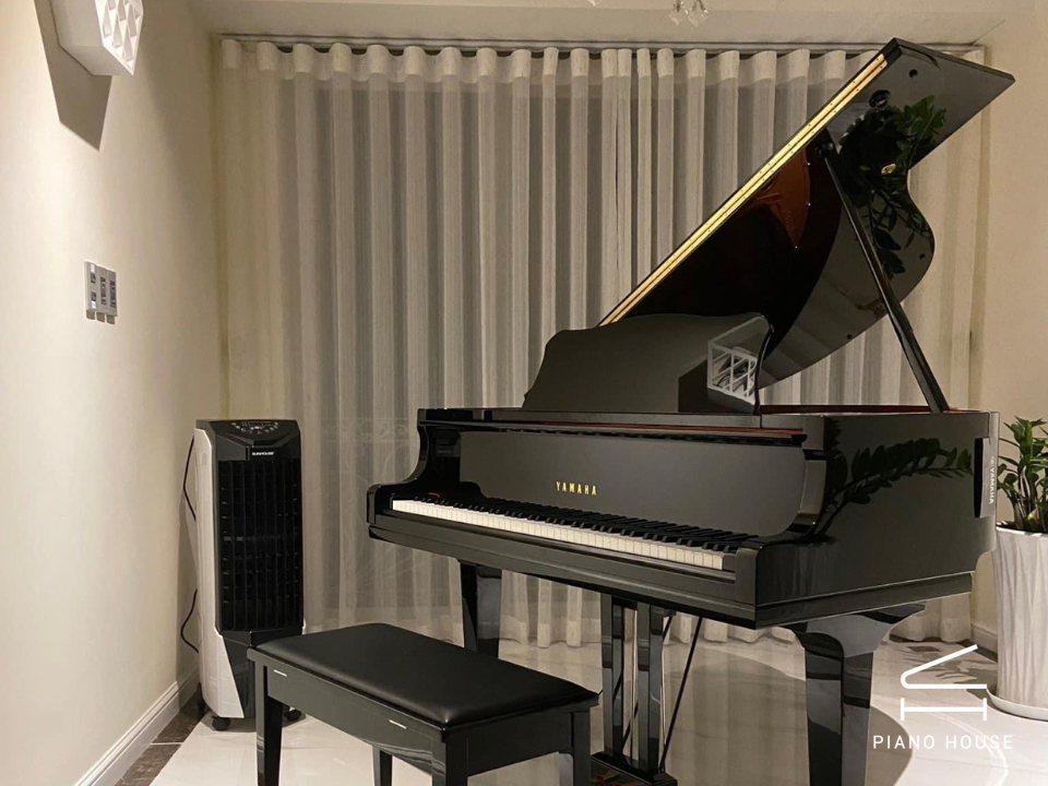 YAMAHA GC1 PE (USED)