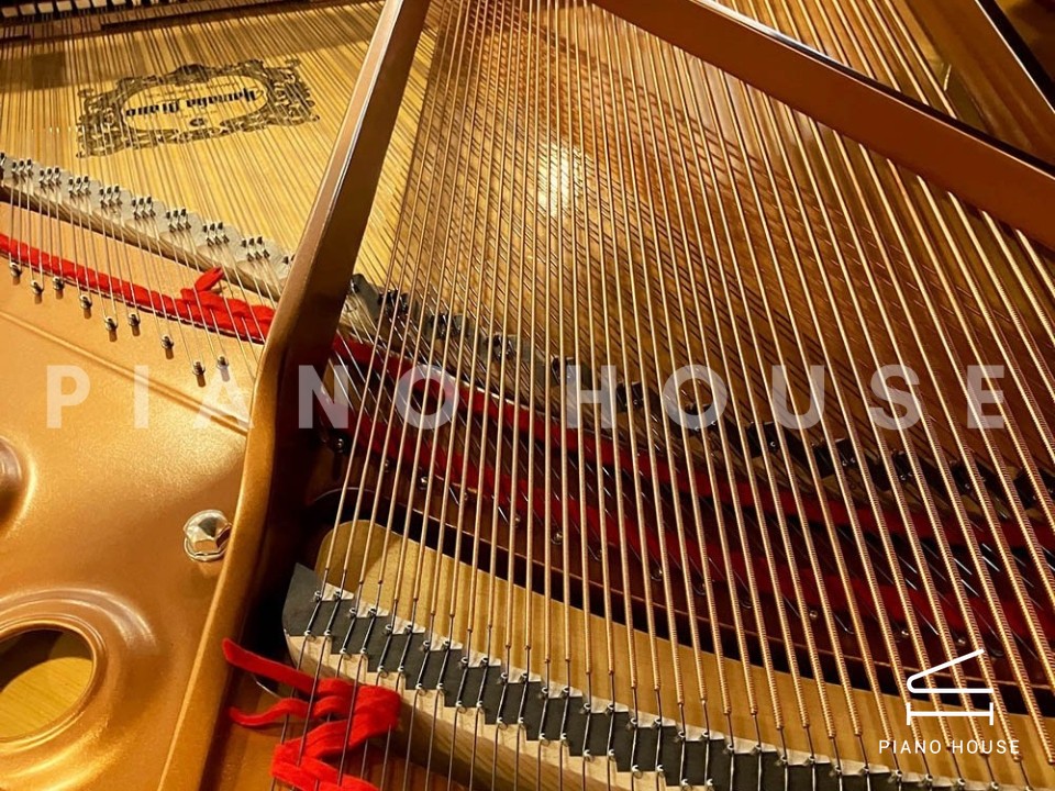 YAMAHA GB1K PE (USED)