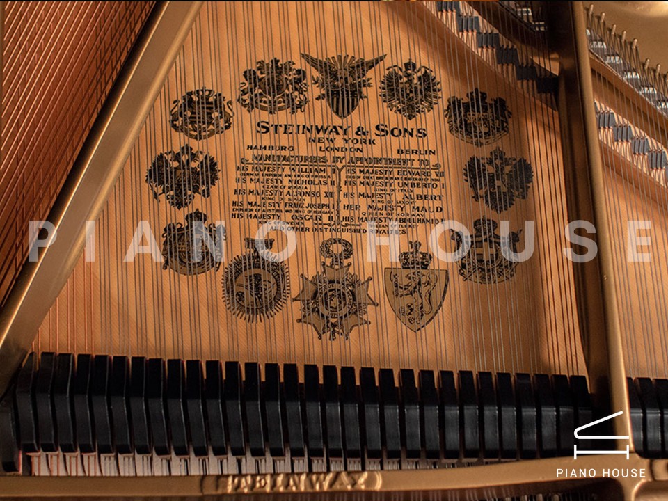 STEINWAY A3