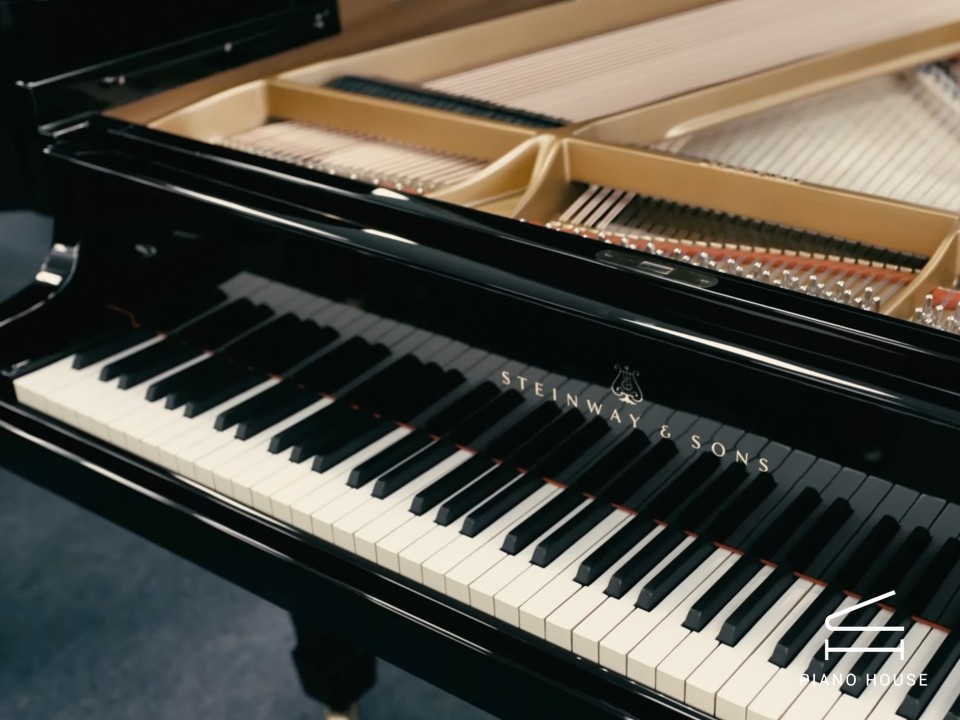 STEINWAY S-155