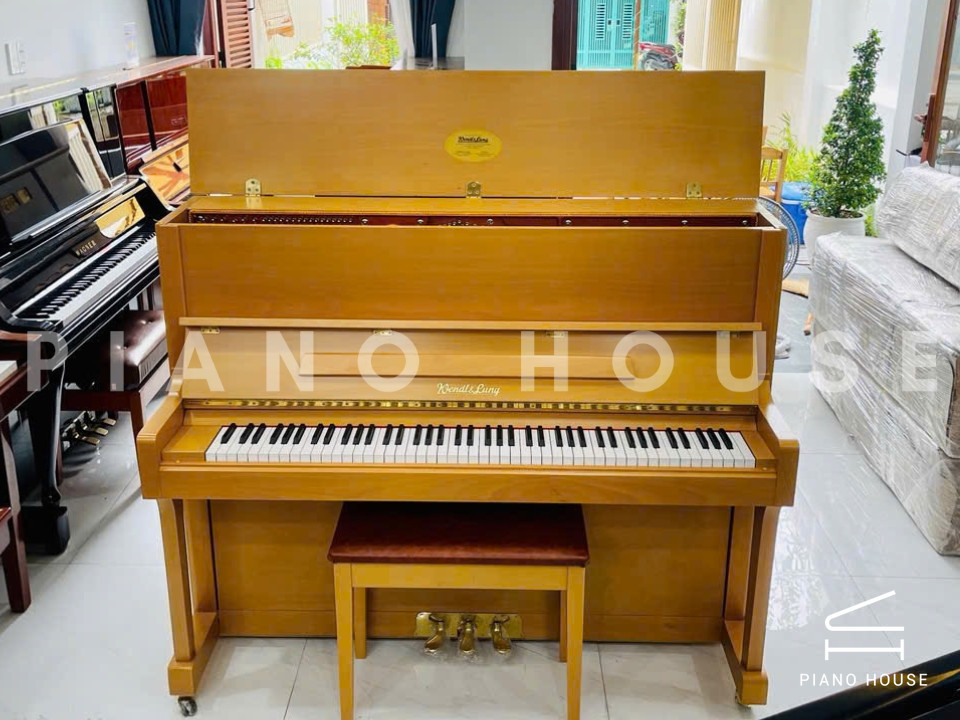 Wendl & Lung Mod.122 (Cherry Satin)