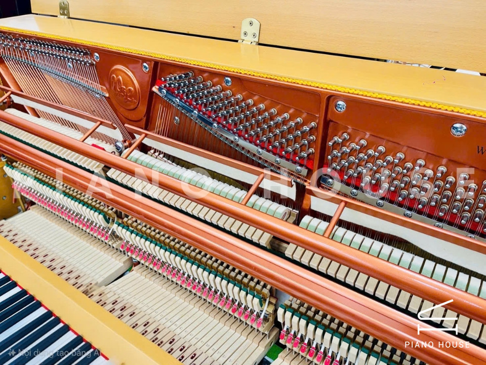 Wendl & Lung Mod.122 (Cherry Satin)