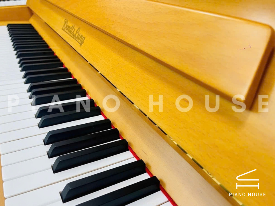 Wendl & Lung Mod.122 (Cherry Satin)