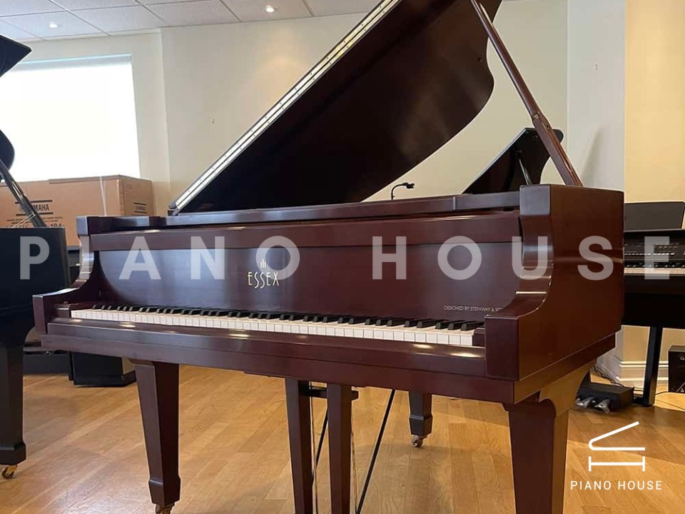 Essex EGP-161N Cherry Satin (USED)