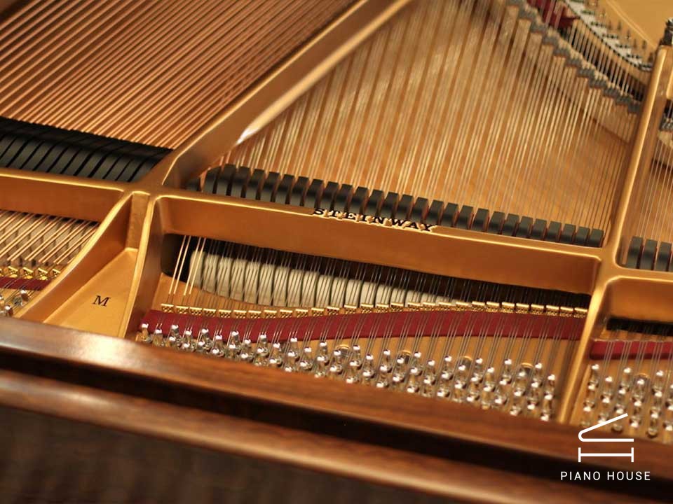 STEINWAY LOUIS XV - MODEL M