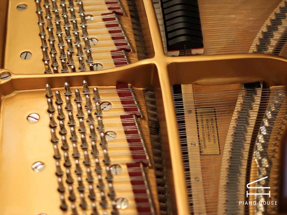 STEINWAY LOUIS XV - MODEL M