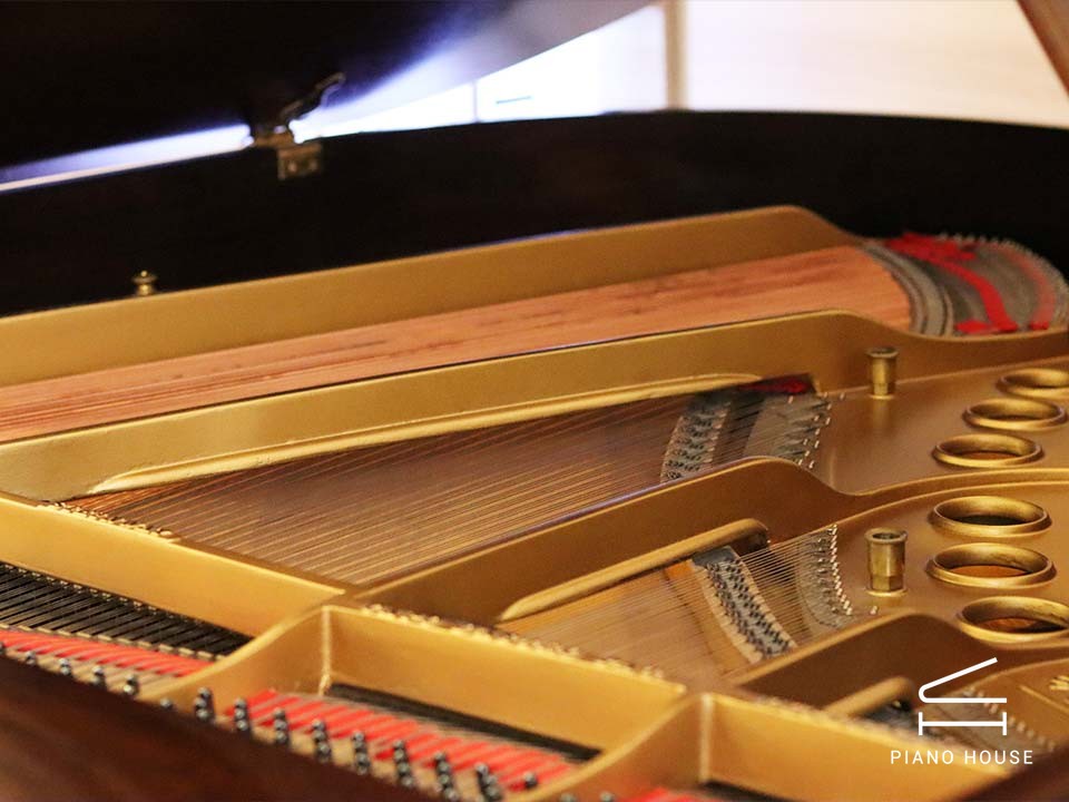 STEINWAY MODEL O (Wood)