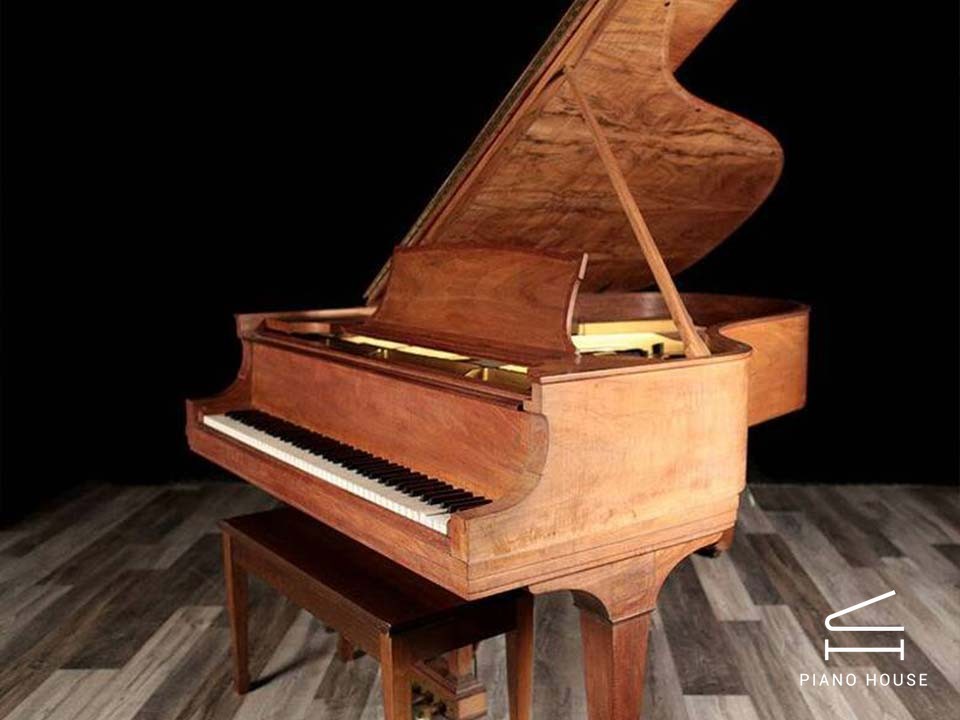 STEINWAY A3 WN