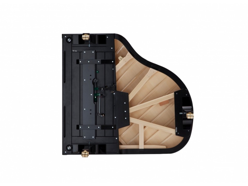 Fazioli F183 - Living Room Grand