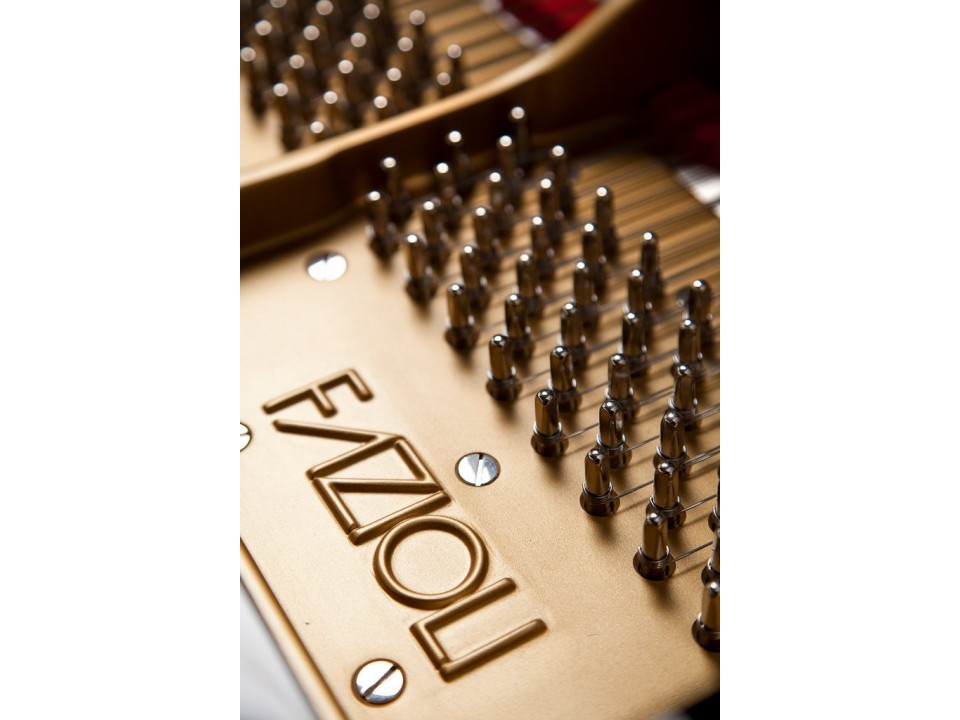 Fazioli F278 - Concert Grand