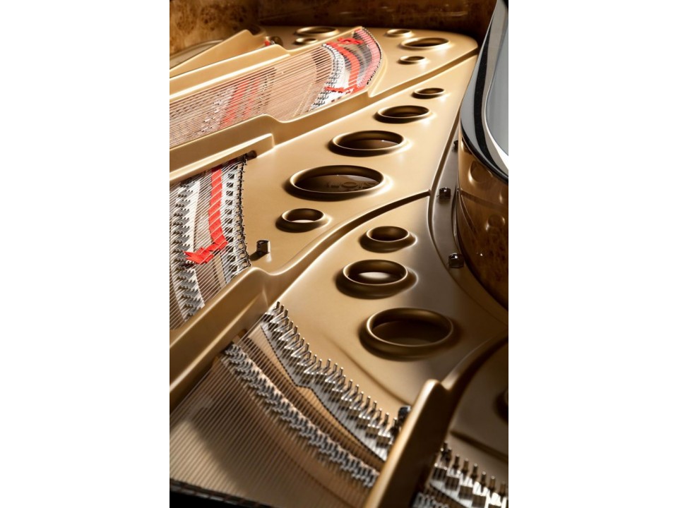 Fazioli F308 - The Longest Grand Piano