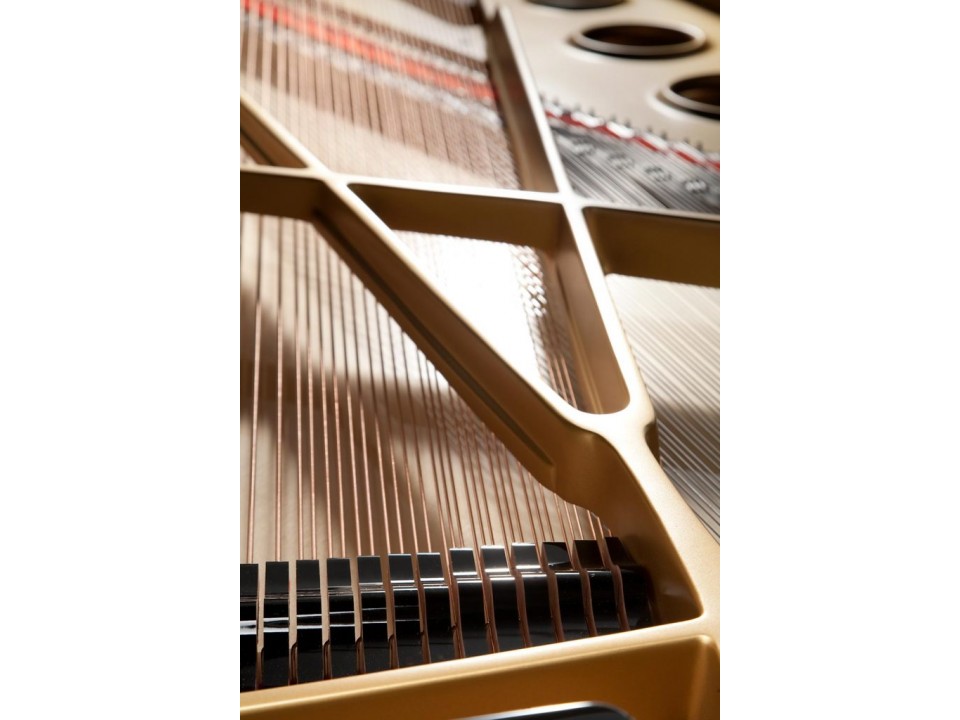 Fazioli F308 - The Longest Grand Piano