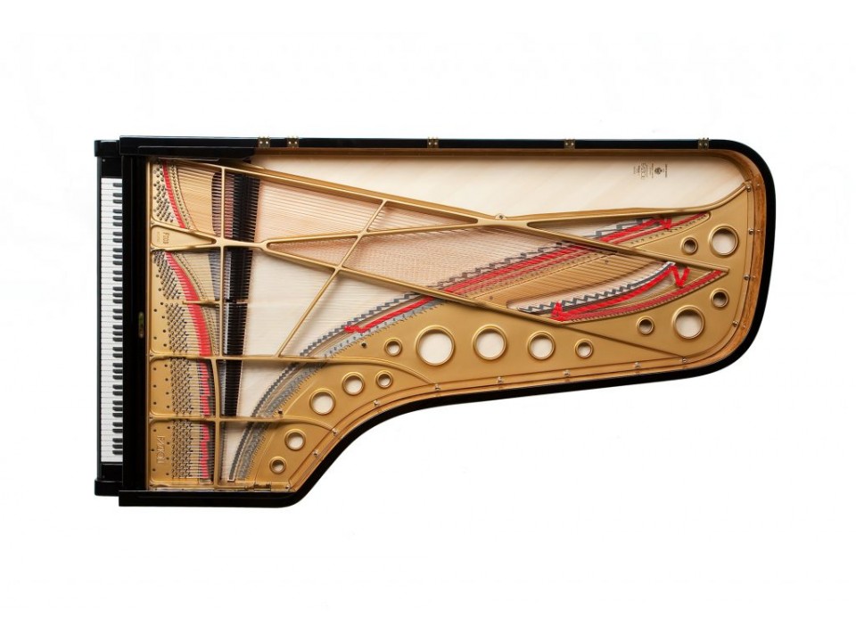 Fazioli F308 - The Longest Grand Piano
