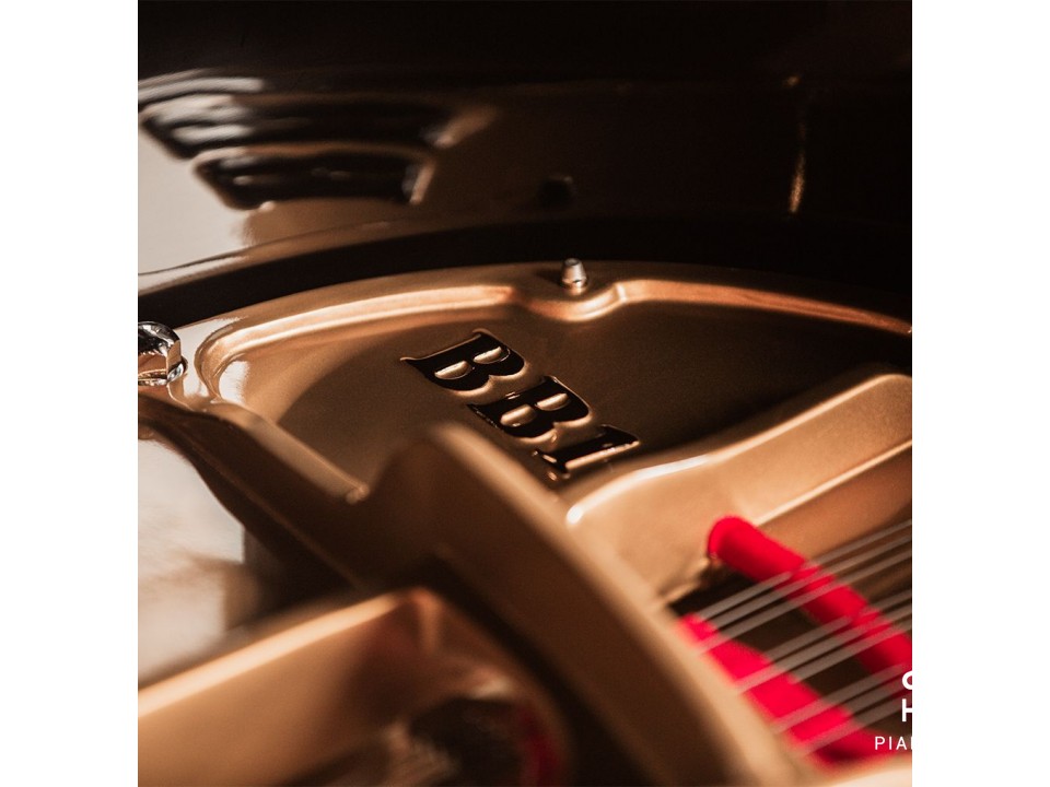 Mason & Hamlin Model BB (VX Series) - Artist Grand