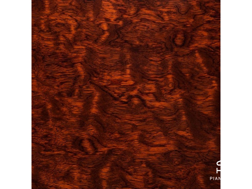 MASON & HAMLIN MODEL 50 (VX Series)