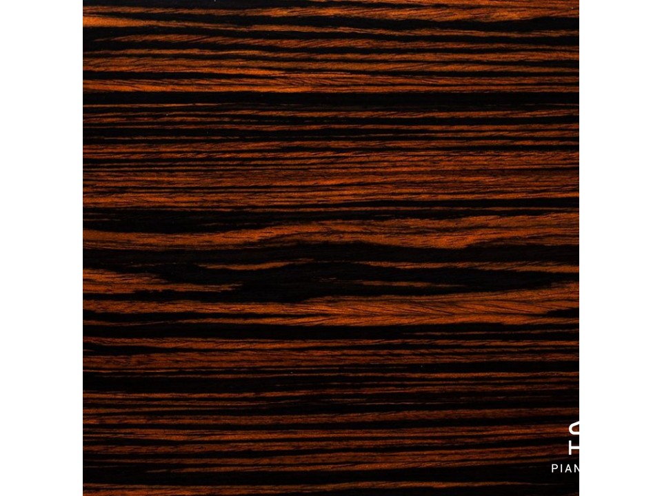 MASON & HAMLIN MODEL 50 (VX Series)