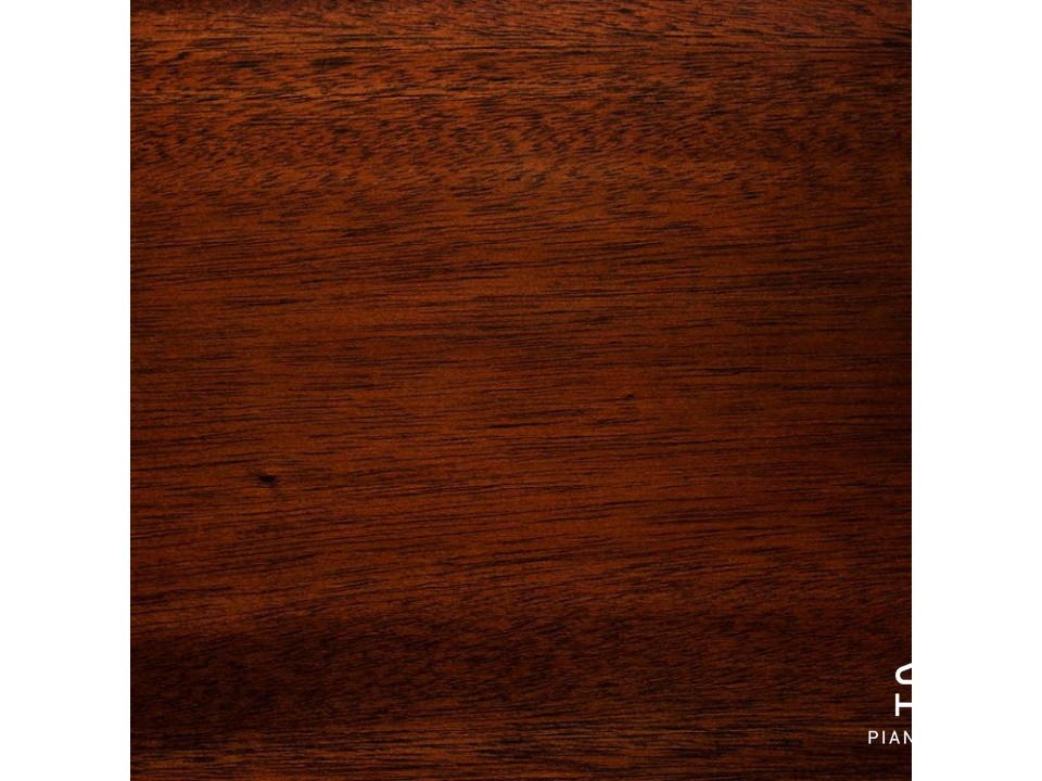 MASON & HAMLIN MODEL 50 (VX Series)