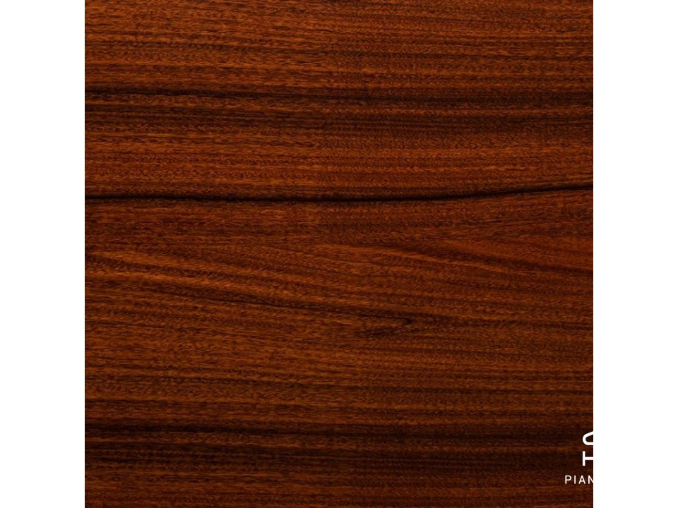 MASON & HAMLIN MODEL 50 (VX Series)