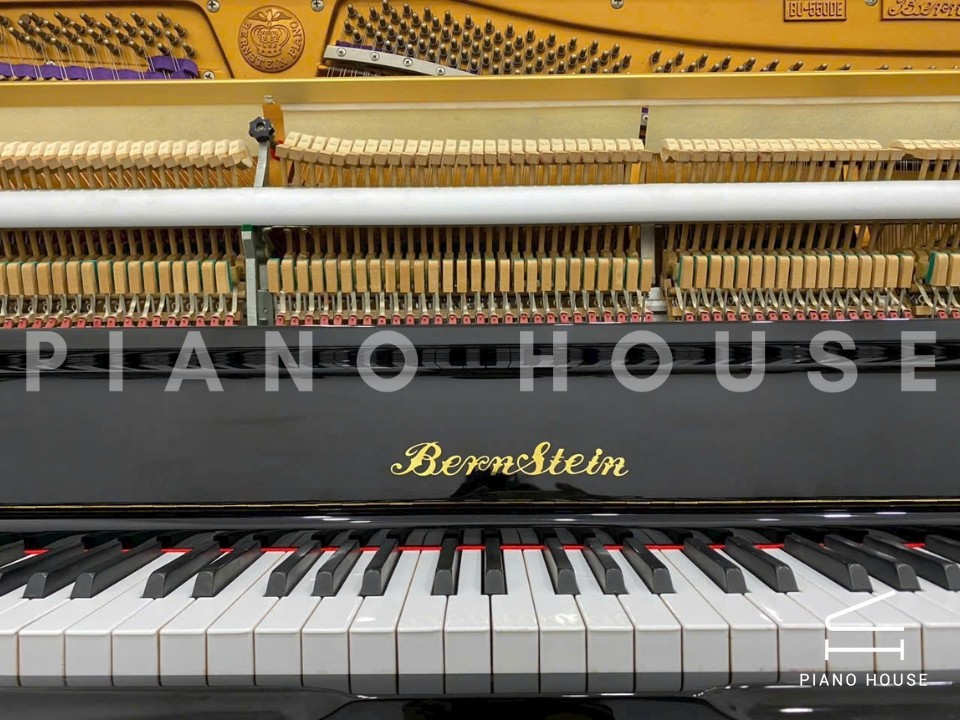 BernStein BU-550DE
