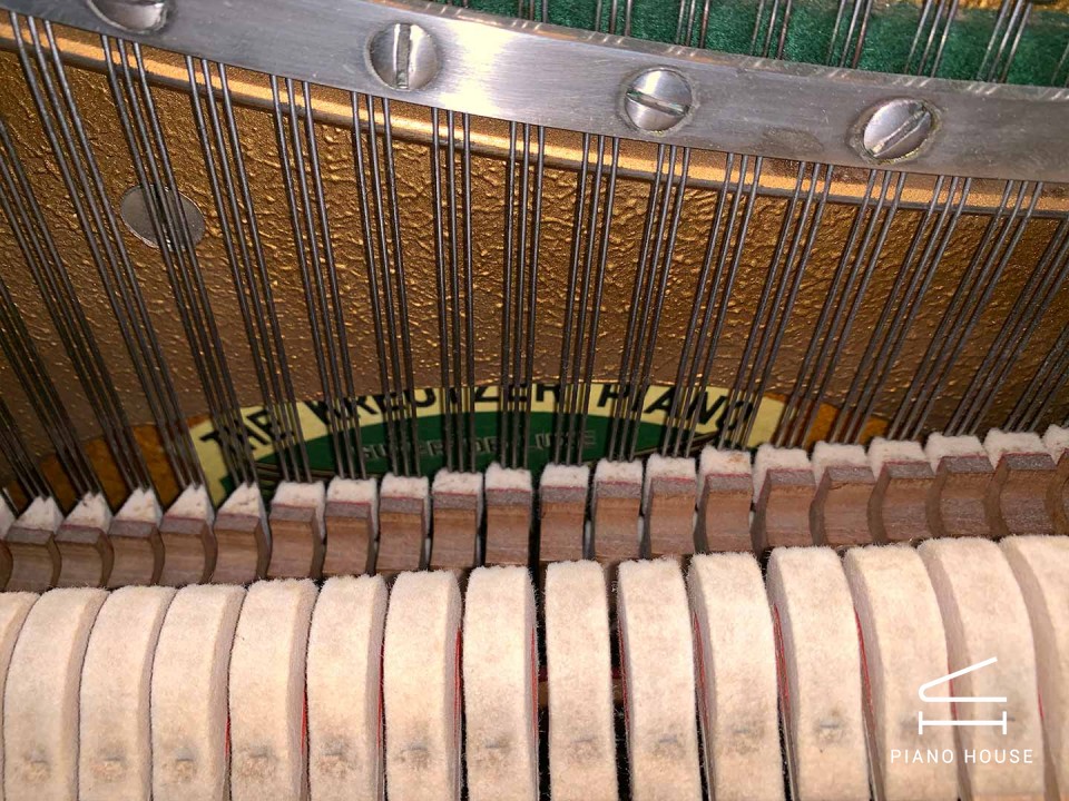 KRAUTZER - Châu Âu