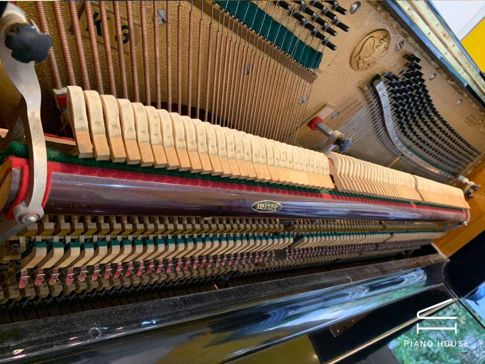 KRAUTZER - Châu Âu