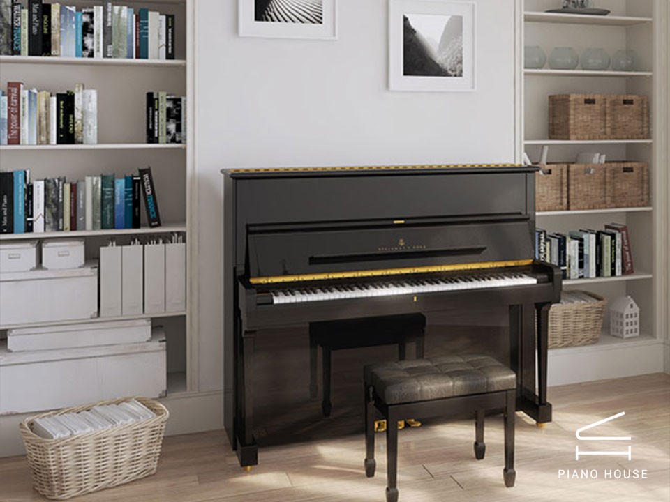 STEINWAY V-125