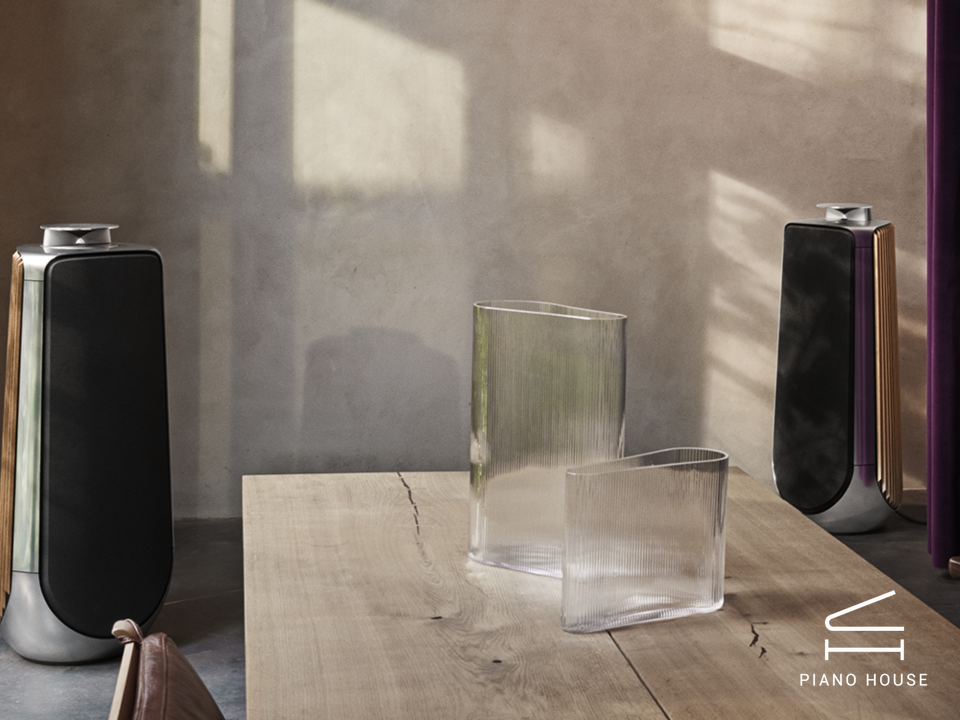 Loa B&O Beolab 50 (USED)