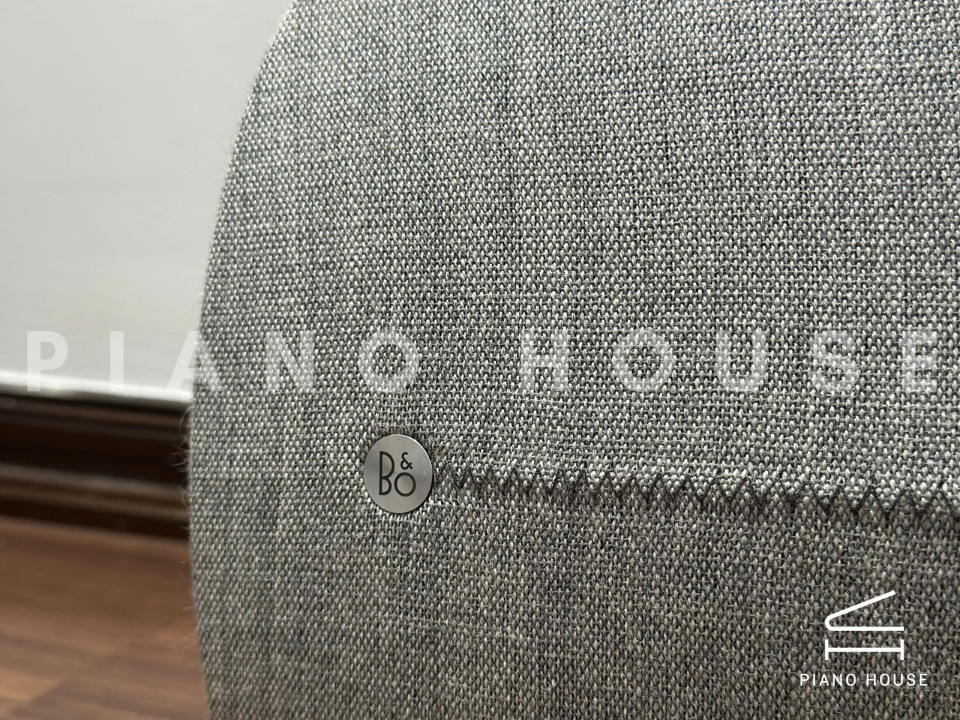 Loa B&O Beoplay A6 (USED)