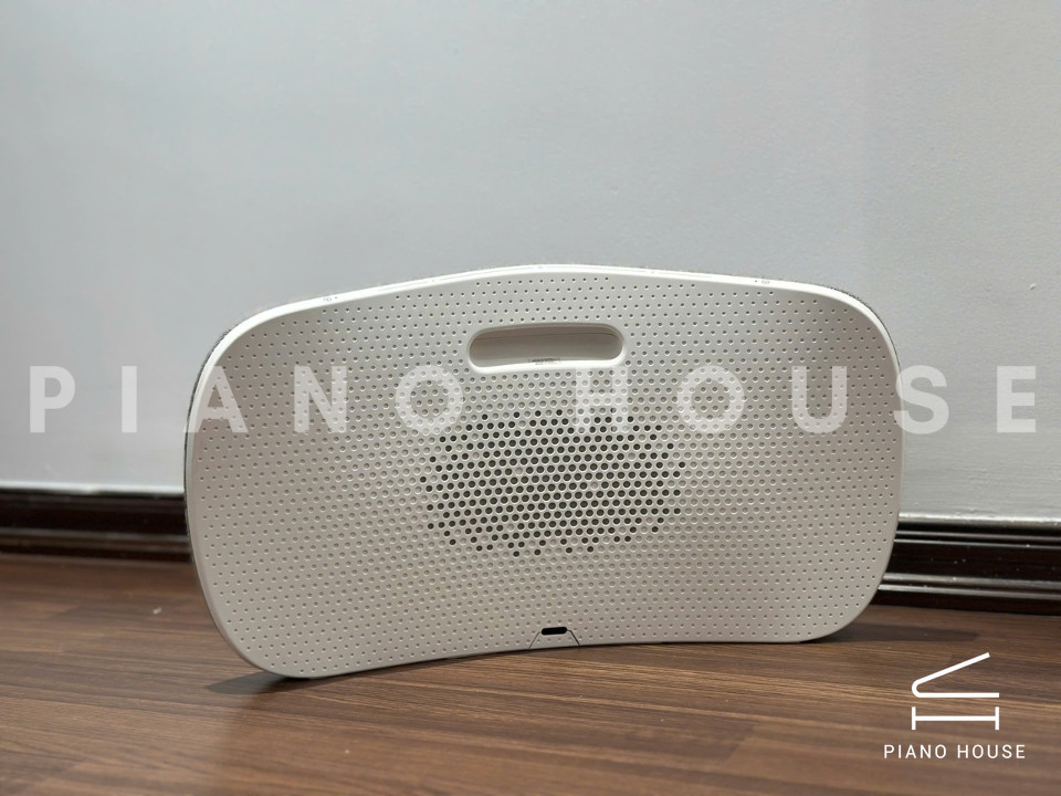 Loa B&O Beoplay A6 (USED)