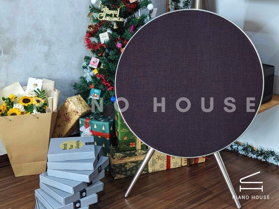 Loa B&O Beosound A9 MK4 (USED)