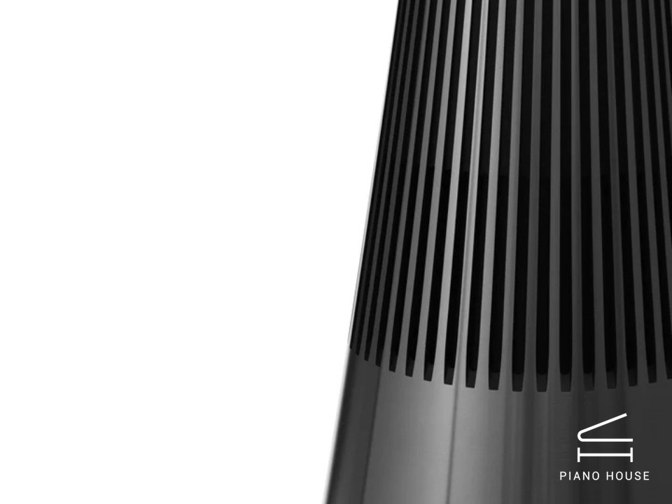 Loa B&O Beosound 2 3rd Gen Black Anthracite