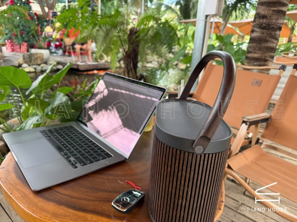 Loa B&O Beosound A5 Dark Oak (Used)