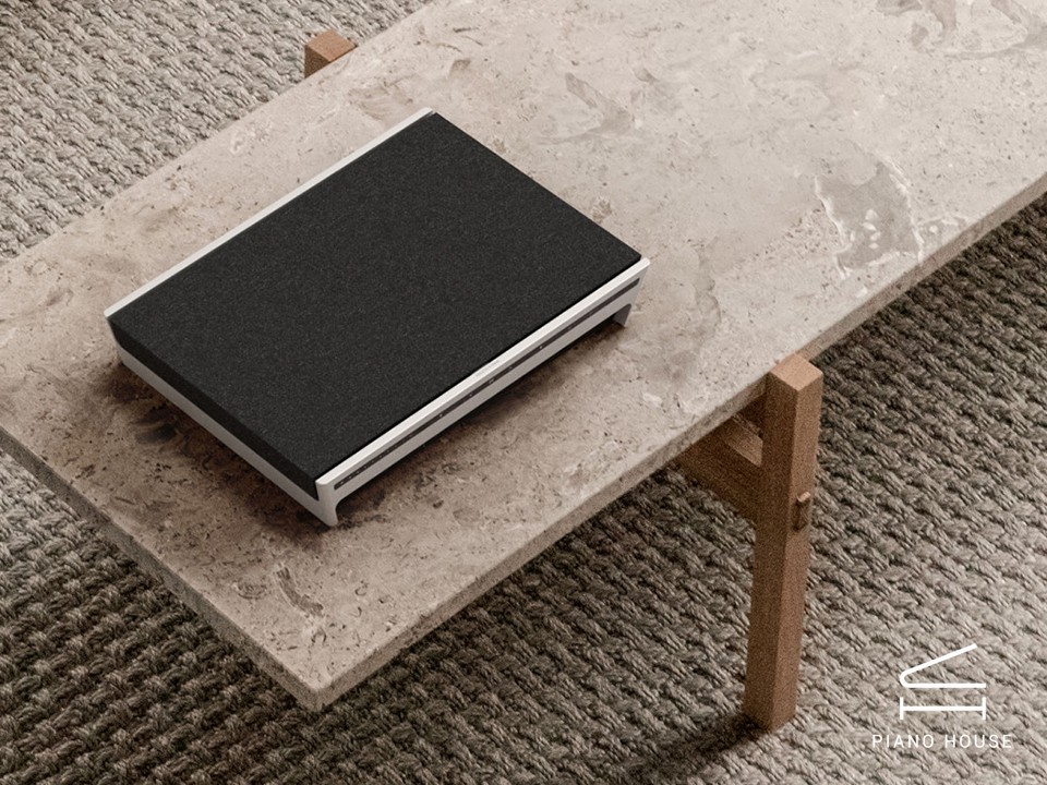 Loa B&O Beosound Level Natural / Dark Grey