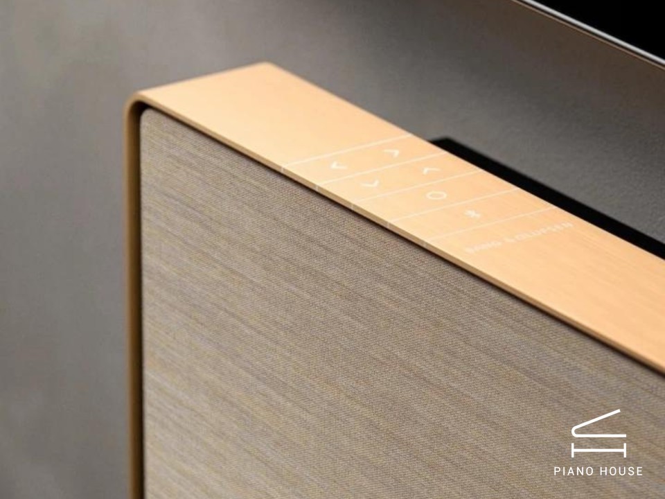 Loa B&O Beosound Stage Bronze Tone