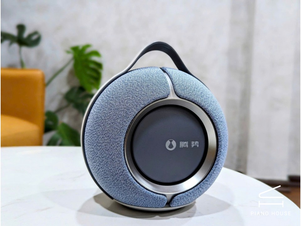 Loa Devialet Mania - Denza Frenzy 99%