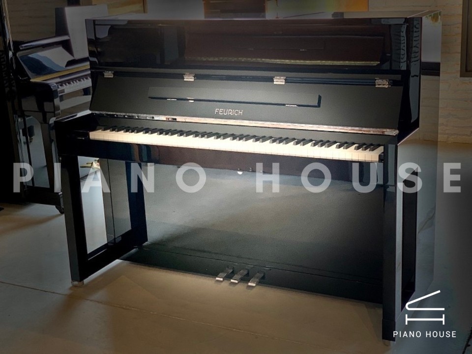 FEURICH 115 Premiere (Black Polished)
