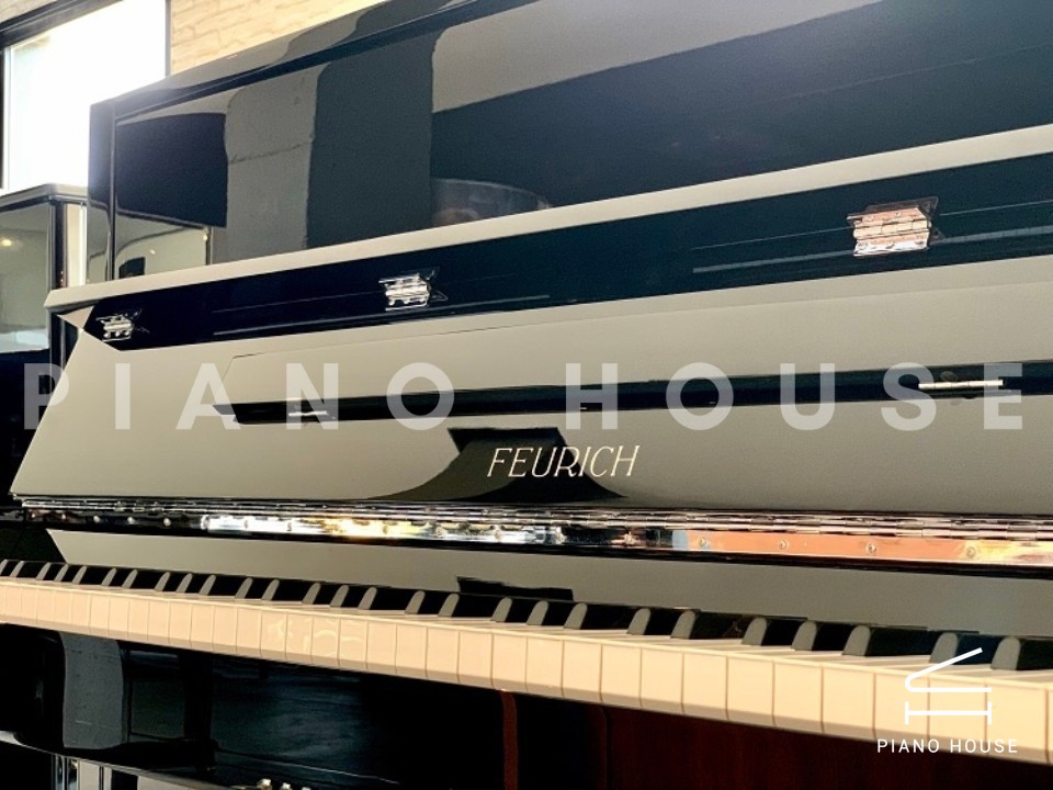 FEURICH 115 Premiere (Black Polished)