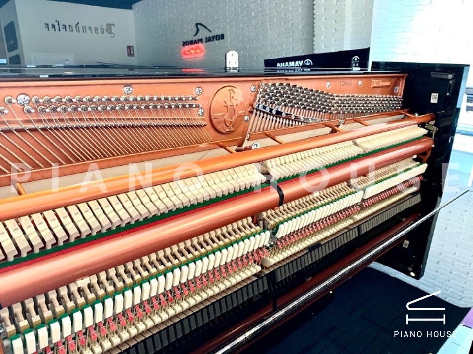 FEURICH 115 Premiere (Black Polished)