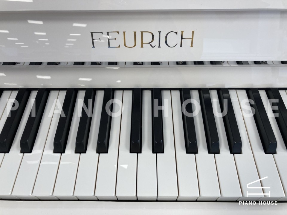 FEURICH 115 Premiere (White Polished)